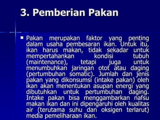 3. Pemberian Pakan Pakan merupakan faktor yang penting dalam usaha pembesaran ikan.  Untuk itu, ikan harus makan, tidak sekadar untuk mempertahankan kondisi tubuh (maintenance), tetapi juga untuk menumbuhkan jaringan otot atau daging (pertumbuhan somatic). Jumlah dan jenis pakan yang dikonsumsi (intake pakan) oleh ikan akan menentukan asupan energi yang dibutuhkan untuk pertumbuhan daging. Intake pakan bisa menggambarkan nafsu makan ikan dan ini dipengaruhi oleh kualitas air (terutama suhu dan oksigen terlarut) media pemeliharaan ikan. 