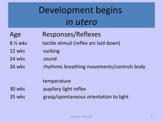 Development begins
in utero
Age Responses/Reflexes
8 ½ wks tactile stimuli (reflex arc laid down)
12 wks sucking
24 wks so...