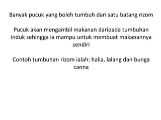Pembiakan aseksual | PPTX