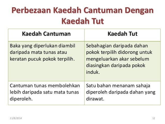 Pembiakan Cantuman Dan Organ Penyimpanan