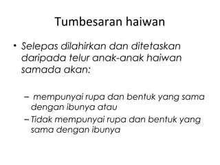 Tumbesaran haiwan
• Selepas dilahirkan dan ditetaskan
daripada telur anak-anak haiwan
samada akan:
– mempunyai rupa dan bentuk yang sama
dengan ibunya atau
– Tidak mempunyai rupa dan bentuk yang
sama dengan ibunya

 