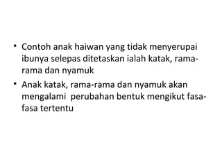 • Contoh anak haiwan yang tidak menyerupai
ibunya selepas ditetaskan ialah katak, ramarama dan nyamuk
• Anak katak, rama-rama dan nyamuk akan
mengalami perubahan bentuk mengikut fasafasa tertentu

 