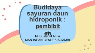 Budidaya
sayuran daun
hidroponik :
pembibit
an
oleh :
M. Bustanul Arifin
MAN INSAN CENDEKIA JAMBI
 
