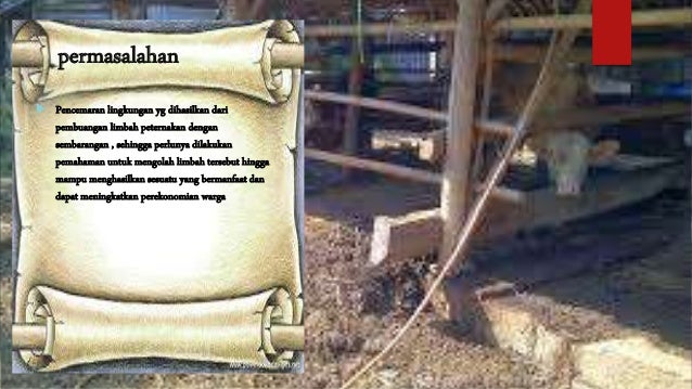 Memanfaatkan Limbah Ternak: Inovasi Teknologi Biogas di Tenjolayar
