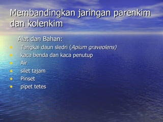 Membandingkan jaringan parenkim
dan kolenkim
    Alat dan Bahan:
•   Tangkai daun sledri (Apium graveolens)
•   kaca benda dan kaca penutup
•   Air
•   silet tajam
•   Pinset
•   pipet tetes
 