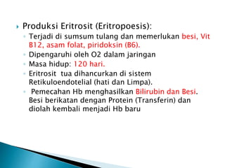  Produksi Eritrosit (Eritropoesis):
◦ Terjadi di sumsum tulang dan memerlukan besi, Vit
B12, asam folat, piridoksin (B6).
◦ Dipengaruhi oleh O2 dalam jaringan
◦ Masa hidup: 120 hari.
◦ Eritrosit tua dihancurkan di sistem
Retikuloendotelial (hati dan Limpa).
◦ Pemecahan Hb menghasilkan Bilirubin dan Besi.
Besi berikatan dengan Protein (Transferin) dan
diolah kembali menjadi Hb baru
 