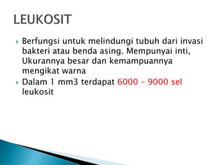  Berfungsi untuk melindungi tubuh dari invasi
bakteri atau benda asing. Mempunyai inti,
Ukurannya besar dan kemampuannya
mengikat warna
 Dalam 1 mm3 terdapat 6000 – 9000 sel
leukosit
 