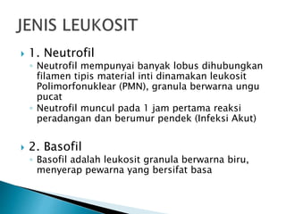  1. Neutrofil
◦ Neutrofil mempunyai banyak lobus dihubungkan
filamen tipis material inti dinamakan leukosit
Polimorfonuklear (PMN), granula berwarna ungu
pucat
◦ Neutrofil muncul pada 1 jam pertama reaksi
peradangan dan berumur pendek (Infeksi Akut)
 2. Basofil
◦ Basofil adalah leukosit granula berwarna biru,
menyerap pewarna yang bersifat basa
 