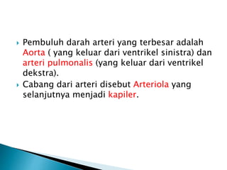  Pembuluh darah arteri yang terbesar adalah
Aorta ( yang keluar dari ventrikel sinistra) dan
arteri pulmonalis (yang keluar dari ventrikel
dekstra).
 Cabang dari arteri disebut Arteriola yang
selanjutnya menjadi kapiler.
 