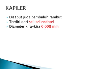  Disebut juga pembuluh rambut
 Terdiri dari sel-sel endotel
 Diameter kira-kira 0,008 mm
 