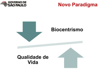 Novo Paradigma