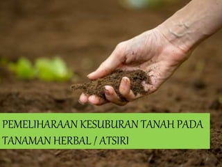 PEMELIHARAAN KESUBURAN TANAH PADA
TANAMAN HERBAL / ATSIRI
 