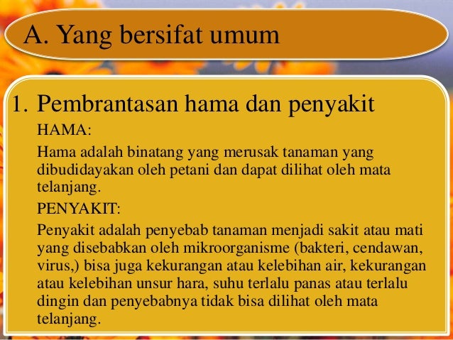 Pemeliharaan tanaman Pemeliharaan tanaman