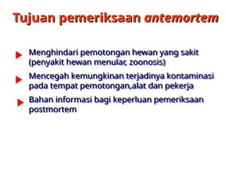 Antemortem Sapi Pemeriksaan Antemortem pemotongan ternak.pptx