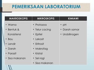Format Isian Lab Feses Pemeriksaan Feses rutin dalam laboratorium | PPTX