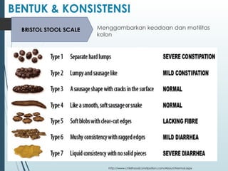 Format Isian Lab Feses Pemeriksaan Feses rutin dalam laboratorium | PPTX
