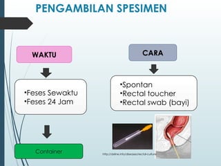 Format Isian Lab Feses Pemeriksaan Feses rutin dalam laboratorium | PPTX