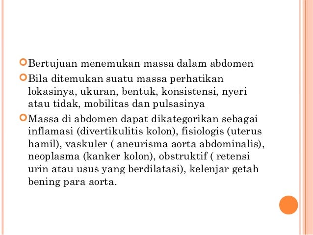 Pemeriksaan Fisik Abdomen Anang