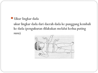Understanding Ate Campo De Deporte Essentials