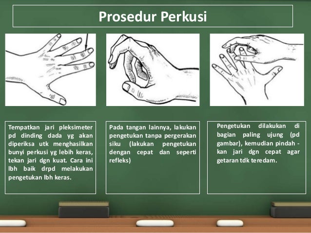 Pemeriksaan fisik thorax pulmonalis jantung Pemeriksaan fisik thorax pulmonalis jantung