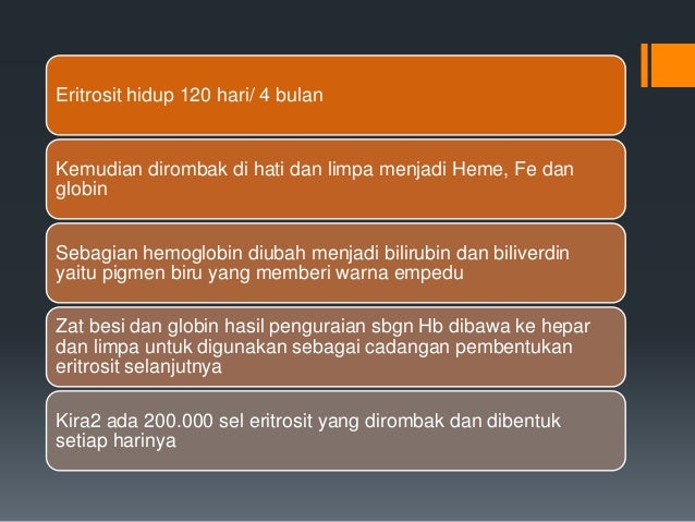 Pemeriksaan hematologi