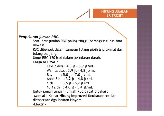 Pemeriksaan hematologi darah rutin Pemeriksaan hematologi darah rutin