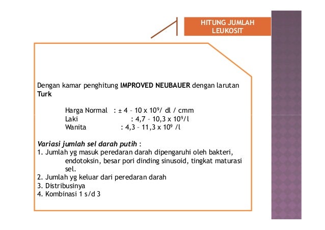Pemeriksaan hematologi darah rutin Pemeriksaan hematologi darah rutin