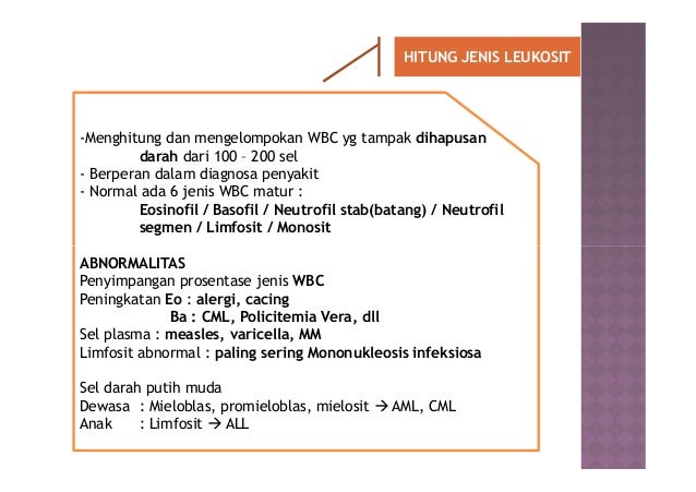 Pemeriksaan hematologi (darah rutin)