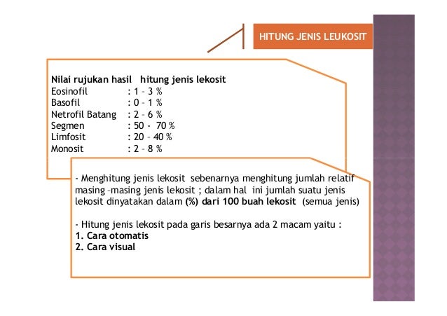 Pemeriksaan hematologi darah rutin Pemeriksaan hematologi darah rutin