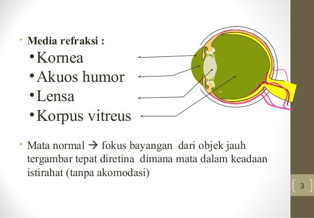 Pemeriksaan khusus Mata Pemeriksaan khusus Mata
