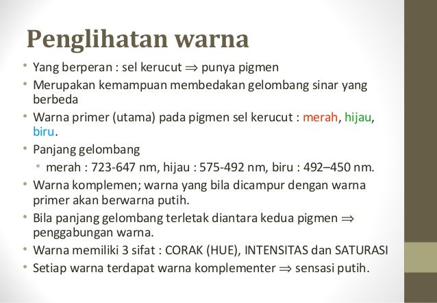 Pemeriksaan khusus Mata