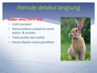 Pemeriksaan laboratorium sifilis (1) (1).pptx