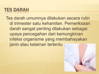 Pemeriksaan penunjang