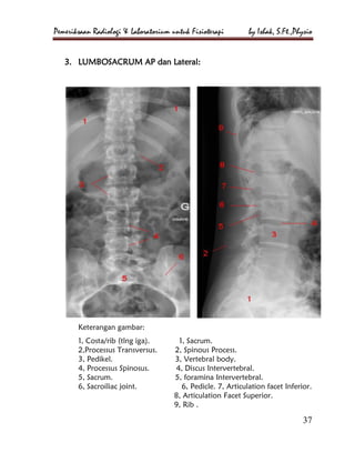 Loopografi Normal Radiologi Pemeriksaan radiologi dan laboratorium untuk fisioterapi | PDF