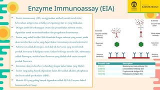 Pemeriksaan Serologi pada Infeksi Jamur.pptx