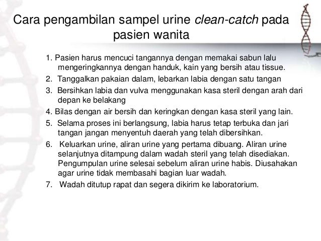 Ppt Persentaion Pemeriksaan Urine