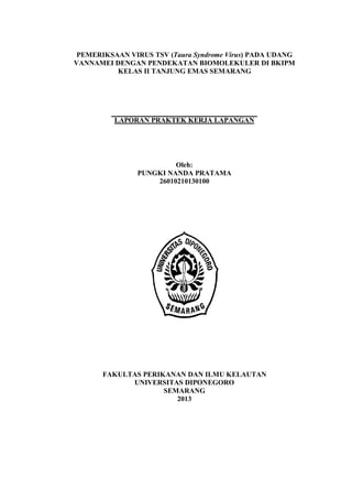 PEMERIKSAAN VIRUS TSV (Taura Syndrome Virus) PADA UDANG
VANNAMEI DENGAN PENDEKATAN BIOMOLEKULER DI BKIPM
KELAS II TANJUNG EMAS SEMARANG

LAPORAN PRAKTEK KERJA LAPANGAN

Oleh:
PUNGKI NANDA PRATAMA
26010210130100

FAKULTAS PERIKANAN DAN ILMU KELAUTAN
UNIVERSITAS DIPONEGORO
SEMARANG
2013

 