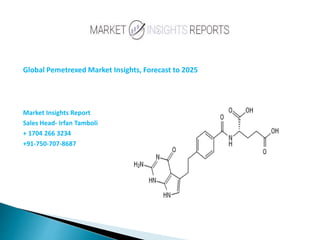 Global Pemetrexed Market Insights, Forecast to 2025
Market Insights Report
Sales Head- Irfan Tamboli
+ 1704 266 3234
+91-750-707-8687
 