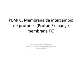 PEMFC: Membrana de intercambio
de protones (Proton Exchange
membrane FC)
TFG de Inmaculada Hidalgo García
Grado en Ingeniería Electrónica y Automática
Septiembre 2013
 