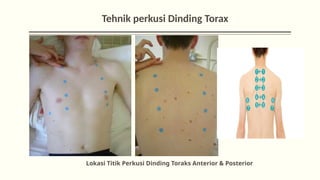 Ut Da Da Pemfis Kepala Mata Telinga Mulut Dada_022232.ppsx