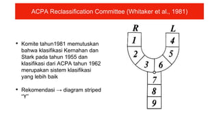 • Komite tahun1981 memutuskan
bahwa klasifikasi Kernahan dan
Stark pada tahun 1955 dan
klasifikasi dari ACPA tahun 1962
merupakan sistem klasifikasi
yang lebih baik
• Rekomendasi → diagram striped
“Y”
ACPA Reclassification Committee (Whitaker et al., 1981)
 