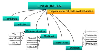 Ekspose maternal pada awal kehamilan
LINGKUNGAN
Tembakau
Alkohol
Defesiensi nutrisi
Infeksi virus
Medikasi
Teratogen
Zinc
Asam Folat
Vit. A
Steroid
Antikonvulsan
Retinoids
Phenytoin
Asam valproic
Thalidomide
herbice spt dioxin
 
