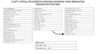 CLEFT LIP/PALATE DISERTAI DENGAN SINDROM YANG BERKAITAN
DENGAN MUTASI GEN
 