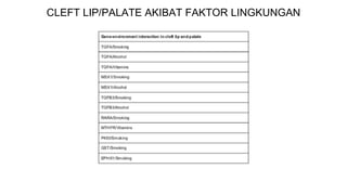 CLEFT LIP/PALATE AKIBAT FAKTOR LINGKUNGAN
 