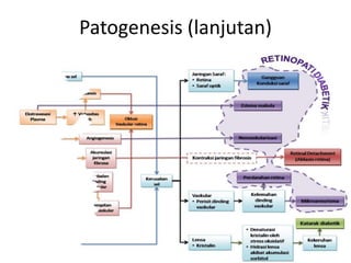Patogenesis (lanjutan)
 