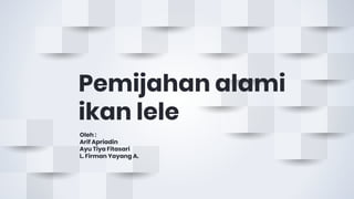 Pemijahan alami
ikan lele
Oleh :
Arif Apriadin
Ayu Tiya Fitasari
L. Firman Yayang A.
 
