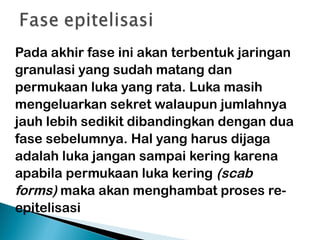 Pada akhir fase ini akan terbentuk jaringan
granulasi yang sudah matang dan
permukaan luka yang rata. Luka masih
mengeluarkan sekret walaupun jumlahnya
jauh lebih sedikit dibandingkan dengan dua
fase sebelumnya. Hal yang harus dijaga
adalah luka jangan sampai kering karena
apabila permukaan luka kering (scab
forms) maka akan menghambat proses re-
epitelisasi
 
