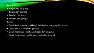 Bentuk badan
• Tinggi dan langsing
• Tinggi dan gempal
• Rendah dan kurus
• Rendah dan gempal
Corak
• Corak kecil – menampakkan tubuh badan langsing dan kurus
• Corak besar – kelihatan gempal
• Corak menegak – kelihatan tinggi dan langsing
• Corak melintang – kelihatan rendah dan gempal
 