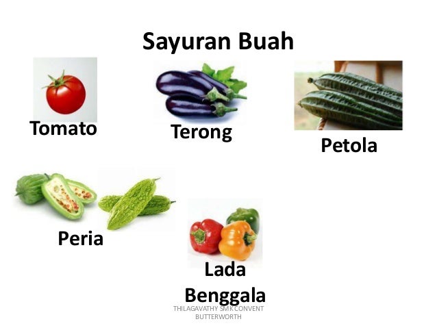 Ekonomi Rumah Tangga Tingkatan 4 Pemilihan Makanan Segar
