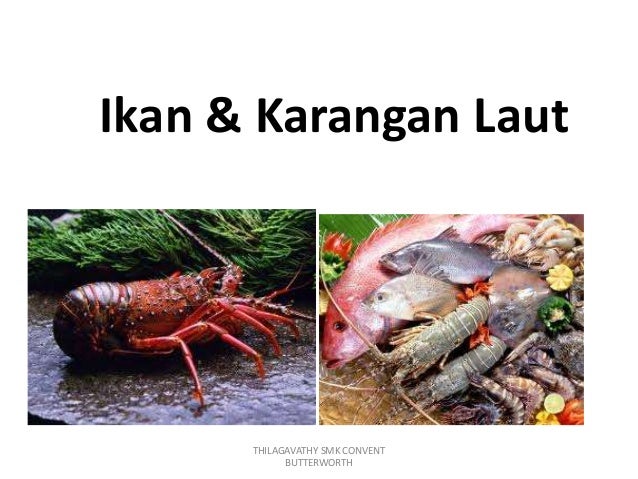 Ekonomi Rumah Tangga Tingkatan 4 Pemilihan Makanan Segar